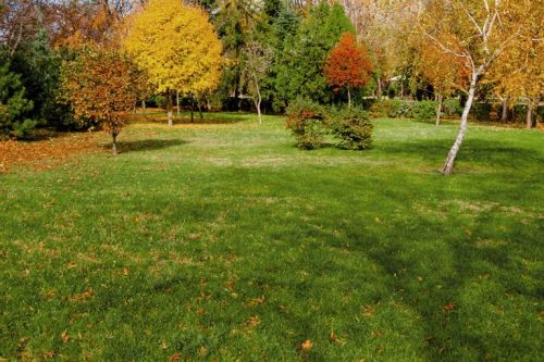 What is Autumn Lawn Care?