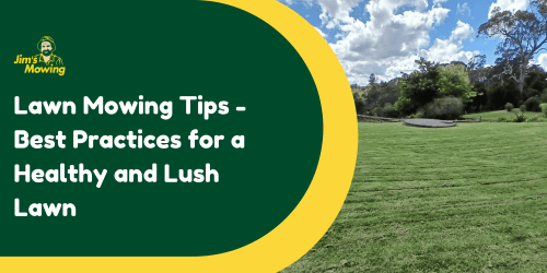 What are the Best Lawn Mowing Tips for a Healthy and Lush Lawn