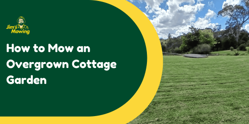 How to Mow an Overgrown Cottage Garden