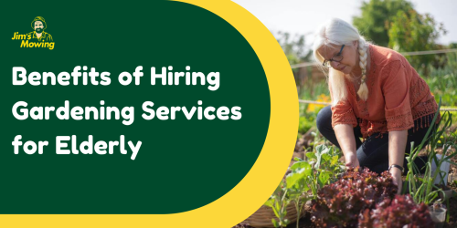 What are the Benefits of Hiring Gardening Services for Elderly